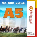 50 000 szt., Ulotki A5