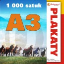 1000 szt., Plakaty A3